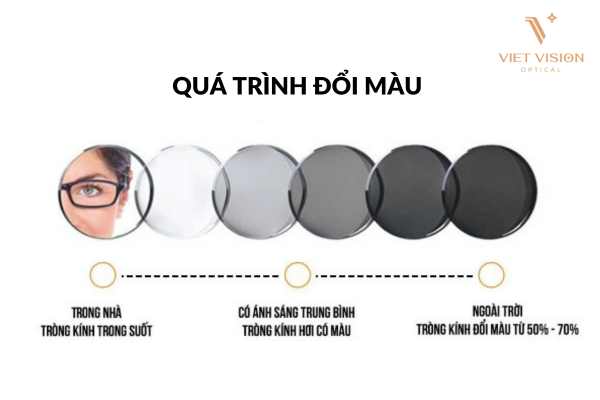 qua-trinh-doi-mau-cua-kinh-doi-mau